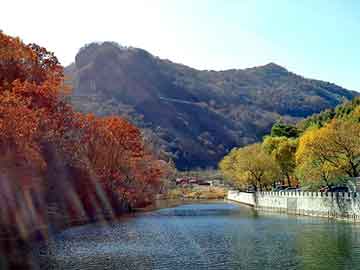 数字互联网展会，时间与机遇的博弈